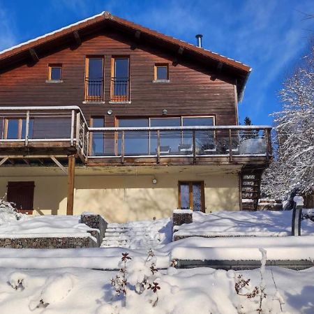 Le Cerf, Chalet Cocooning Avec Piscine Et Billard Ban-sur-Meurthe-Clefcy Ngoại thất bức ảnh