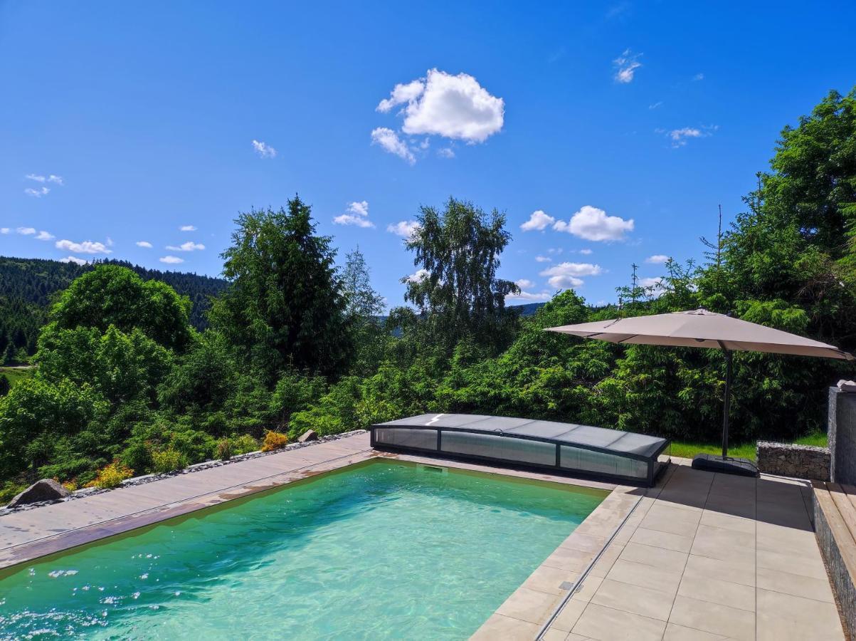 Le Cerf, Chalet Cocooning Avec Piscine Et Billard Ban-sur-Meurthe-Clefcy Ngoại thất bức ảnh