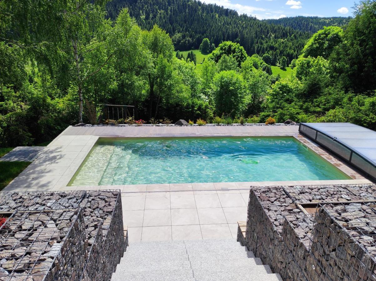 Le Cerf, Chalet Cocooning Avec Piscine Et Billard Ban-sur-Meurthe-Clefcy Ngoại thất bức ảnh