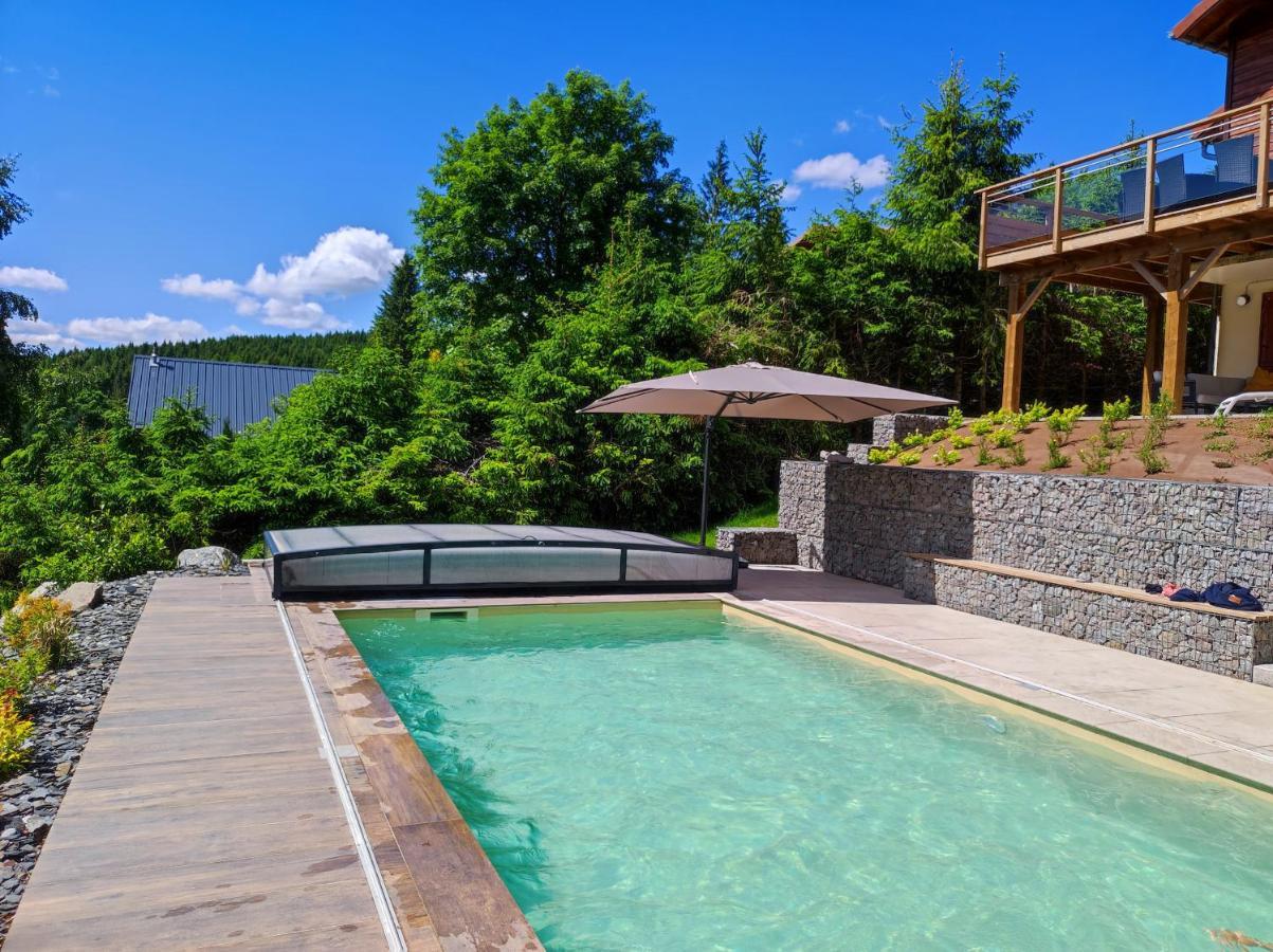 Le Cerf, Chalet Cocooning Avec Piscine Et Billard Ban-sur-Meurthe-Clefcy Ngoại thất bức ảnh